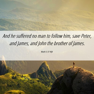 Picture 06 - Mark 5:37 KJV - And he suffered no man to follow him, save Peter, - Bible Verse Picture