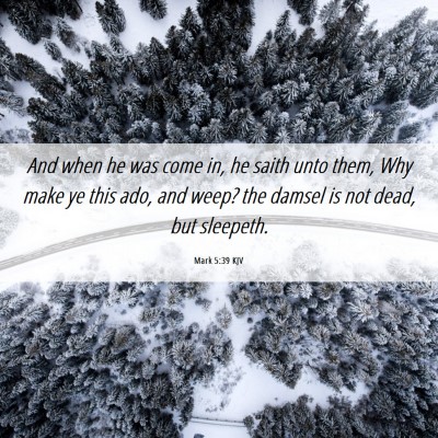 Picture 06 - Mark 5:39 KJV - And when he was come in, he saith unto them, Why - Bible Verse Picture