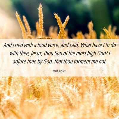 Picture 06 - Mark 5:7 KJV - And cried with a loud voice, and said, What have - Bible Verse Picture