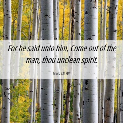 Picture 06 - Mark 5:8 KJV - For he said unto him, Come out of the man, thou - Bible Verse Picture
