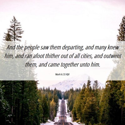 Picture 06 - Mark 6:33 KJV - And the people saw them departing, and many knew - Bible Verse Picture
