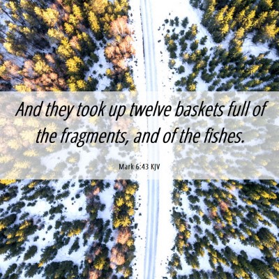 Picture 06 - Mark 6:43 KJV - And they took up twelve baskets full of the - Bible Verse Picture