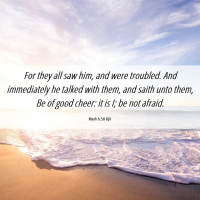 Picture 06 - Mark 6:50 KJV - For they all saw him, and were troubled. And - Bible Verse Picture