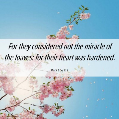 Picture 06 - Mark 6:52 KJV - For they considered not the miracle of the - Bible Verse Picture
