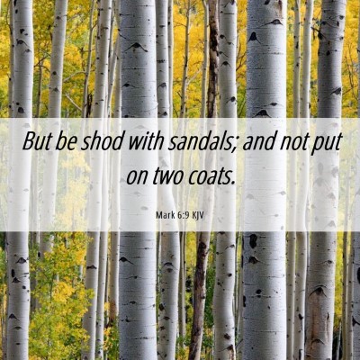 Picture 06 - Mark 6:9 KJV - But be shod with sandals; and not put on two - Bible Verse Picture
