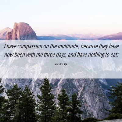 Picture 06 - Mark 8:2 KJV - I have compassion on the multitude, because they - Bible Verse Picture