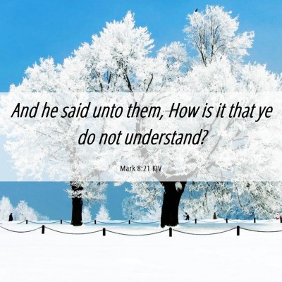 Picture 06 - Mark 8:21 KJV - And he said unto them, How is it that ye do not - Bible Verse Picture