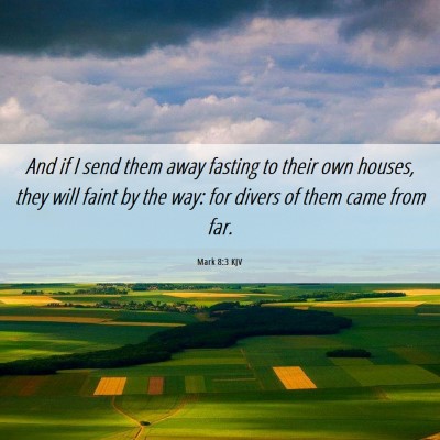Picture 06 - Mark 8:3 KJV - And if I send them away fasting to their own - Bible Verse Picture