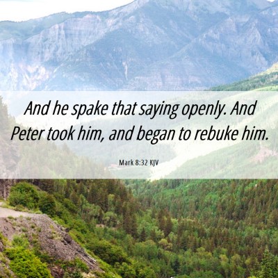 Picture 06 - Mark 8:32 KJV - And he spake that saying openly. And Peter took - Bible Verse Picture