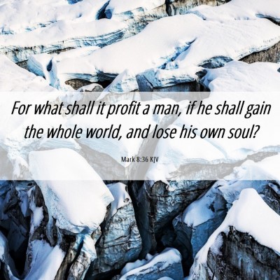 Picture 06 - Mark 8:36 KJV - For what shall it profit a man, if he shall gain - Bible Verse Picture