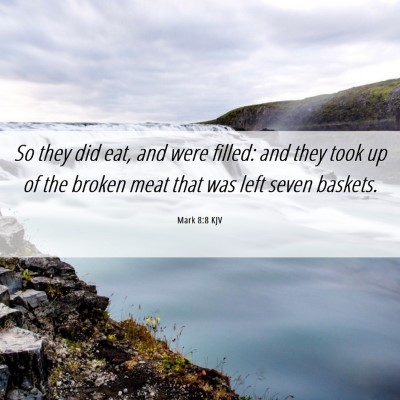 Picture 06 - Mark 8:8 KJV - So they did eat, and were filled: and they took - Bible Verse Picture