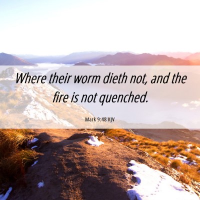Picture 06 - Mark 9:48 KJV - Where their worm dieth not, and the fire is not - Bible Verse Picture