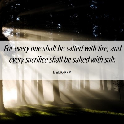 Picture 06 - Mark 9:49 KJV - For every one shall be salted with fire, and - Bible Verse Picture