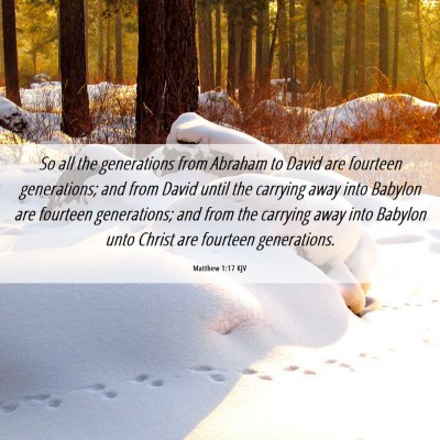 Picture 06 - Matthew 1:17 KJV - So all the generations from Abraham to David are - Bible Verse Picture