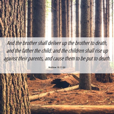 Picture 06 - Matthew 10:21 KJV - And the brother shall deliver up the brother to - Bible Verse Picture