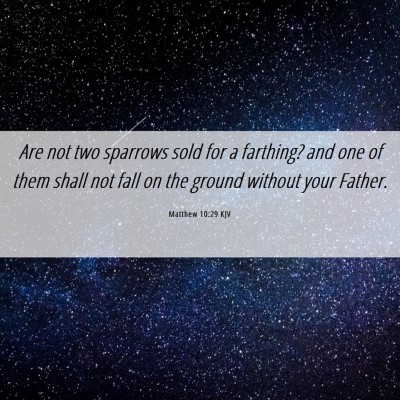 Picture 06 - Matthew 10:29 KJV - Are not two sparrows sold for a farthing? and one - Bible Verse Picture