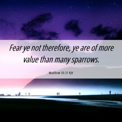 Picture 06 - Matthew 10:31 KJV - Fear ye not therefore, ye are of more value than - Bible Verse Picture