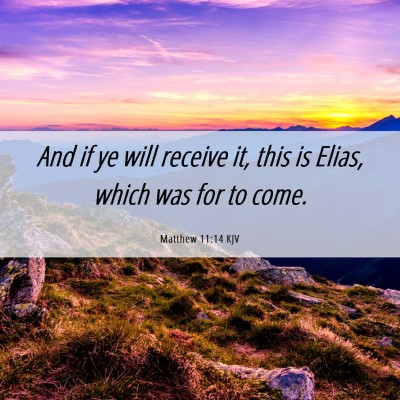 Picture 06 - Matthew 11:14 KJV - And if ye will receive it, this is Elias, which - Bible Verse Picture
