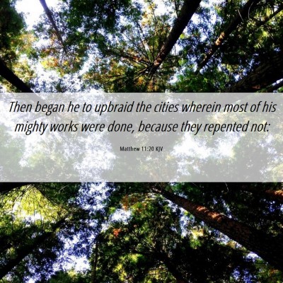 Picture 06 - Matthew 11:20 KJV - Then began he to upbraid the cities wherein most - Bible Verse Picture