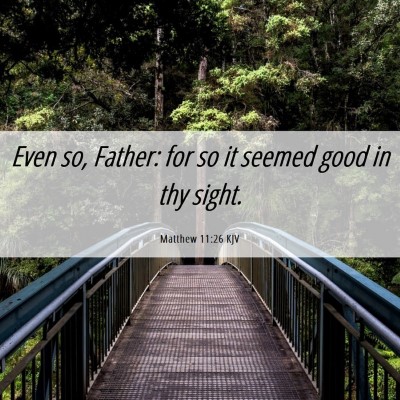 Picture 06 - Matthew 11:26 KJV - Even so, Father: for so it seemed good in thy - Bible Verse Picture