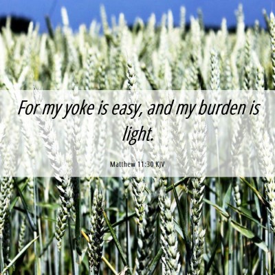 Picture 06 - Matthew 11:30 KJV - For my yoke is easy, and my burden is - Bible Verse Picture