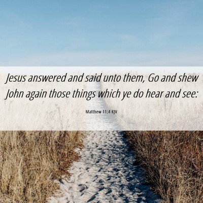 Picture 06 - Matthew 11:4 KJV - Jesus answered and said unto them, Go and shew - Bible Verse Picture