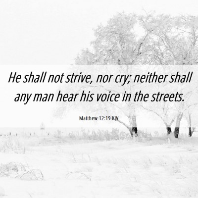 Picture 06 - Matthew 12:19 KJV - He shall not strive, nor cry; neither shall any - Bible Verse Picture