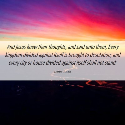 Picture 06 - Matthew 12:25 KJV - And Jesus knew their thoughts, and said unto - Bible Verse Picture