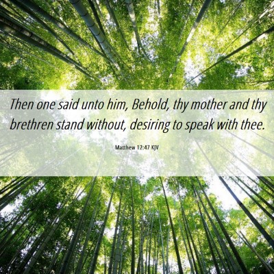 Picture 06 - Matthew 12:47 KJV - Then one said unto him, Behold, thy mother and - Bible Verse Picture