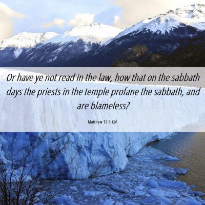 Picture 06 - Matthew 12:5 KJV - Or have ye not read in the law, how that on the - Bible Verse Picture