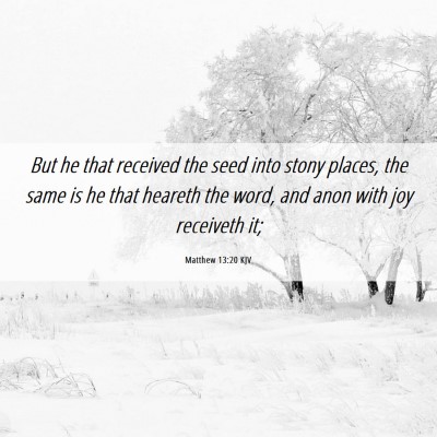 Picture 06 - Matthew 13:20 KJV - But he that received the seed into stony places, - Bible Verse Picture