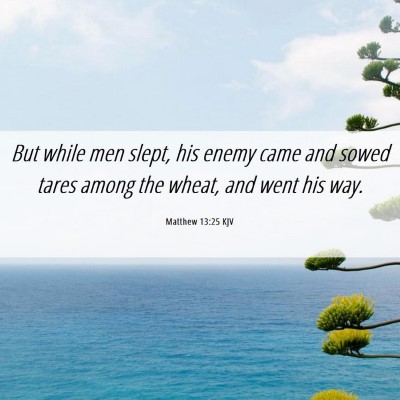 Picture 06 - Matthew 13:25 KJV - But while men slept, his enemy came and sowed - Bible Verse Picture