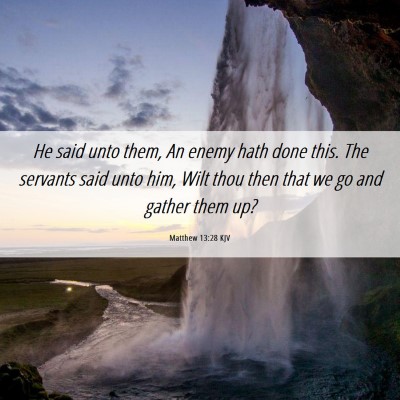 Picture 06 - Matthew 13:28 KJV - He said unto them, An enemy hath done this. The - Bible Verse Picture