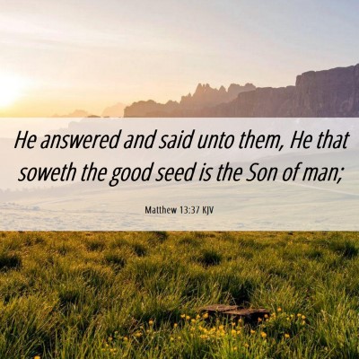 Picture 06 - Matthew 13:37 KJV - He answered and said unto them, He that soweth - Bible Verse Picture