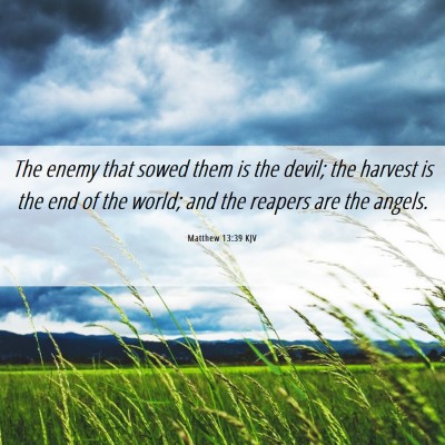 Picture 06 - Matthew 13:39 KJV - The enemy that sowed them is the devil; the - Bible Verse Picture