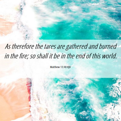 Picture 06 - Matthew 13:40 KJV - As therefore the tares are gathered and burned in - Bible Verse Picture