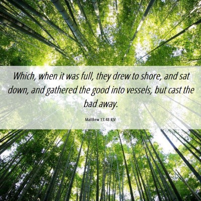 Picture 06 - Matthew 13:48 KJV - Which, when it was full, they drew to shore, and - Bible Verse Picture