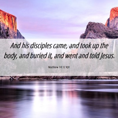 Picture 06 - Matthew 14:12 KJV - And his disciples came, and took up the body, and - Bible Verse Picture