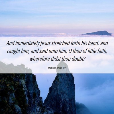 Picture 06 - Matthew 14:31 KJV - And immediately Jesus stretched forth his hand, - Bible Verse Picture
