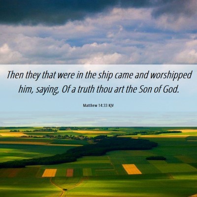 Picture 06 - Matthew 14:33 KJV - Then they that were in the ship came and - Bible Verse Picture
