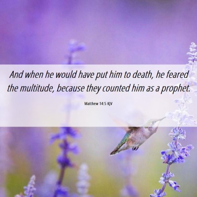 Picture 06 - Matthew 14:5 KJV - And when he would have put him to death, he - Bible Verse Picture