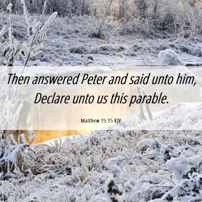 Picture 06 - Matthew 15:15 KJV - Then answered Peter and said unto him, Declare - Bible Verse Picture