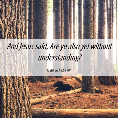 Picture 06 - Matthew 15:16 KJV - And Jesus said, Are ye also yet without - Bible Verse Picture