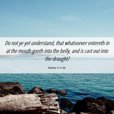 Picture 06 - Matthew 15:17 KJV - Do not ye yet understand, that whatsoever - Bible Verse Picture