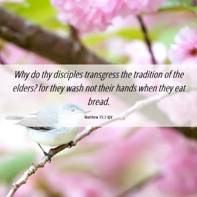 Picture 06 - Matthew 15:2 KJV - Why do thy disciples transgress the tradition of - Bible Verse Picture