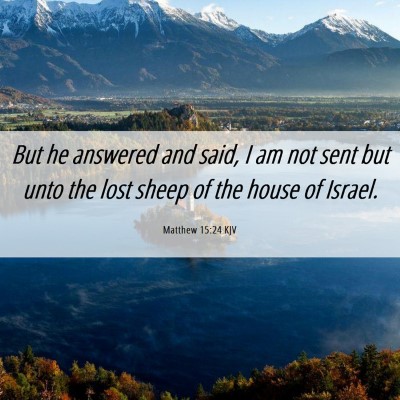 Picture 06 - Matthew 15:24 KJV - But he answered and said, I am not sent but unto - Bible Verse Picture