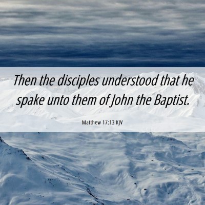 Picture 06 - Matthew 17:13 KJV - Then the disciples understood that he spake unto - Bible Verse Picture