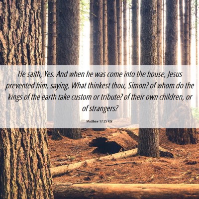 Picture 06 - Matthew 17:25 KJV - He saith, Yes. And when he was come into the - Bible Verse Picture