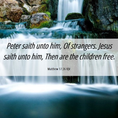 Picture 06 - Matthew 17:26 KJV - Peter saith unto him, Of strangers. Jesus saith - Bible Verse Picture
