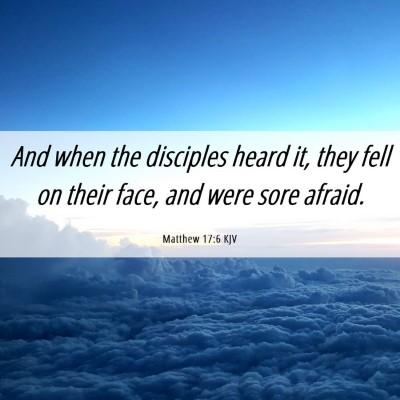 Picture 06 - Matthew 17:6 KJV - And when the disciples heard it, they fell on - Bible Verse Picture